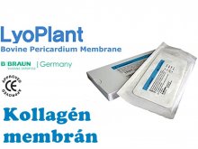 4. Kollagén membrán - Lyoplant 4x5cm - 1db