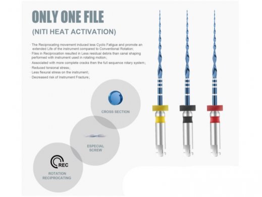 GÉPI NITI - Denco - ONLY ONE FILE - (VDW RECIPROC BLUE) - 25,40,50 - 6 tű sorozat - 25 mm