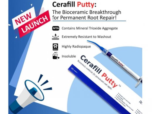 Cerafill Putty - Bioceramic Material for Permanent Root Repair - 2g - Prevest Denpro