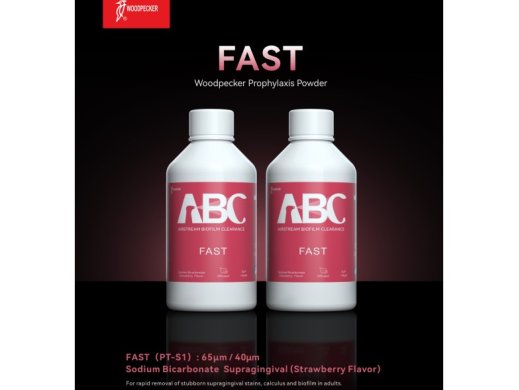 FAST Profilaxis por - 65um Sodium Bicarbonate Supragingival 300GR - Woodpecker - EPER