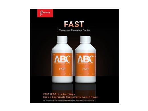FAST Profilaxis por - 65um Sodium Bicarbonate Supragingival 300GR - Woodpecker - CITROM